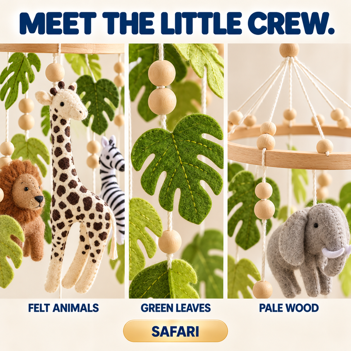 Safari
