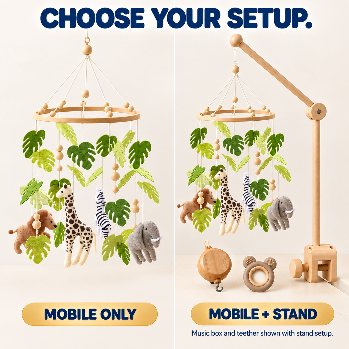 Safari